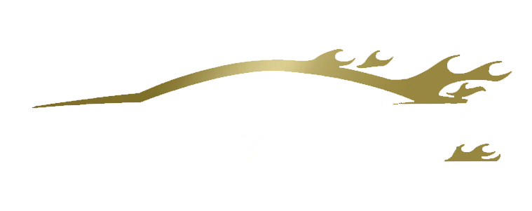BINGUE DAVID logo