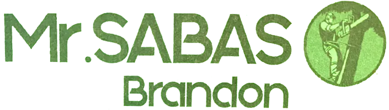 SABAS BRANDON logo