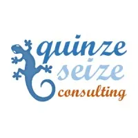 QUINZE SEIZE CONSULTING logo