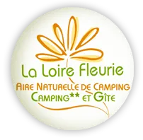 CC DELICE logo
