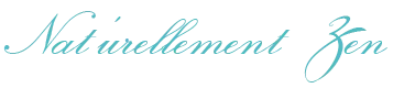 BARMISA logo