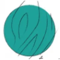 IDEN CONSEILS logo