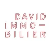 DAVID IMMOBILIER logo