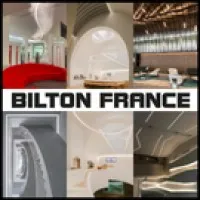 BILTON FRANCE logo