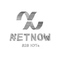 NETNOW logo