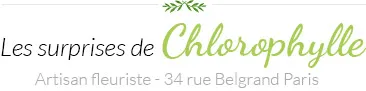 GWLADYS CHLOROPHYLLE logo