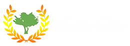 BELLA VITA logo