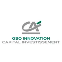 GSO INNOVATION logo