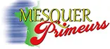 D2J PRIOU logo