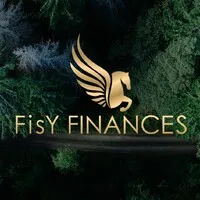 FISY CONSULTING & FINANCES logo