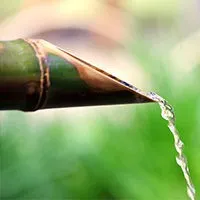BAMBOO FOR LIFE (B4L) logo