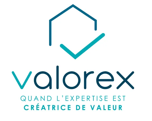 VALOREX logo