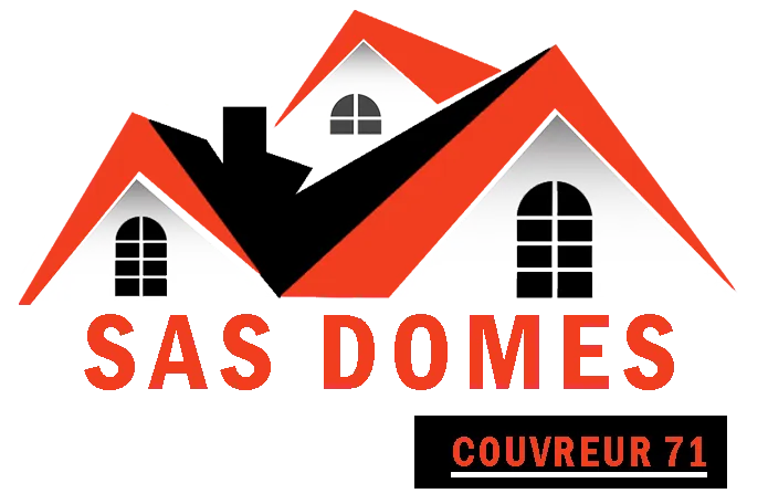 DOMES logo