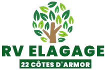 RIEFFEL VICTOR logo