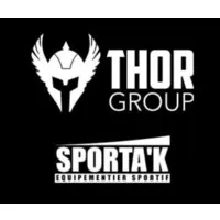 THOR GROUP logo