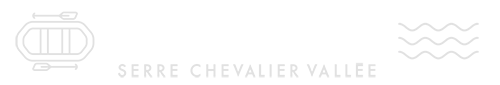 SOUYRI VINCENT logo