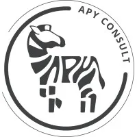 APY CONSULT logo