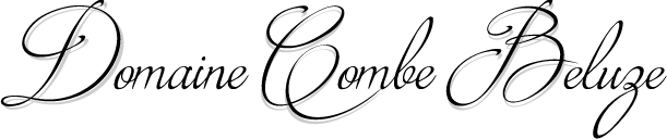 DOMAINE DE COMBE BELUZE logo