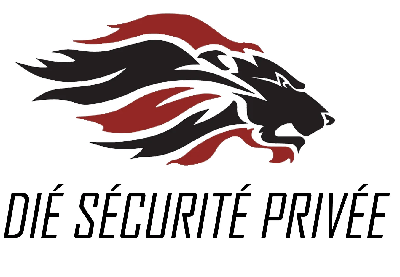 DIE SECURITE PRIVEE logo