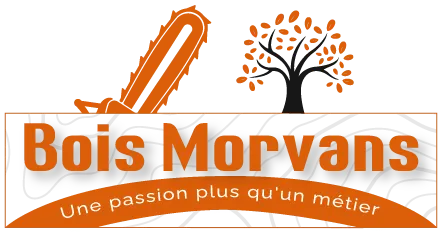 ALAIN ROSE logo