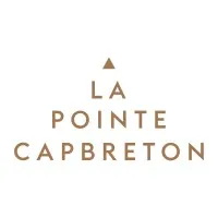 DOMAINE DE LA POINTE logo