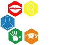 CINSENS logo