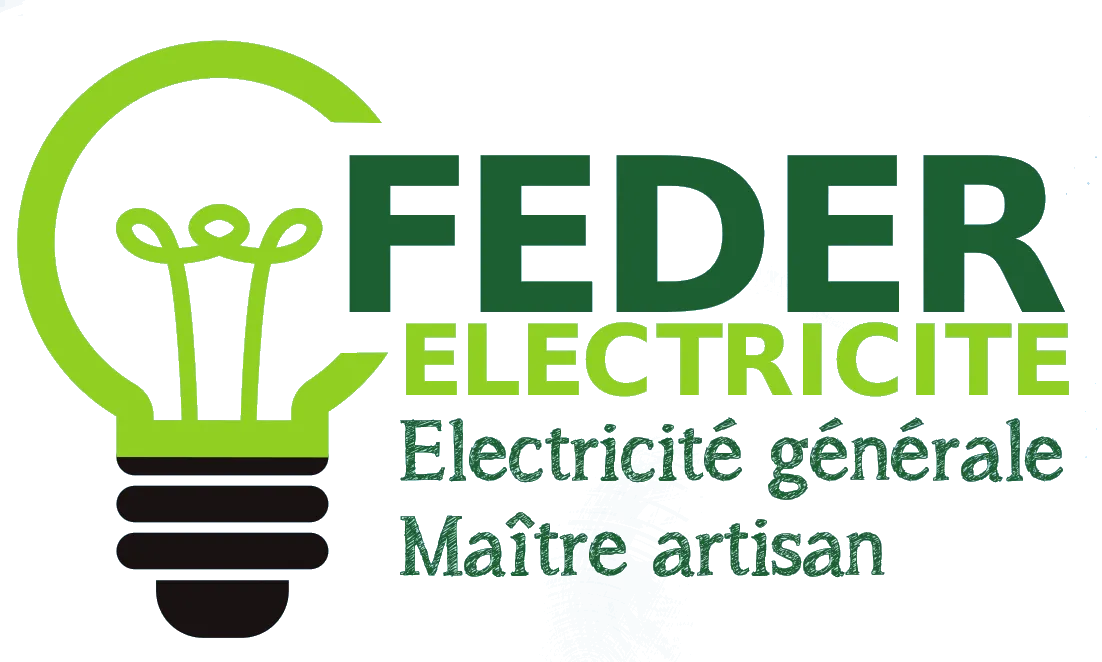 FEDER ELECTRICITE logo
