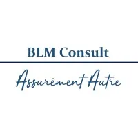 BLM CONSULT logo