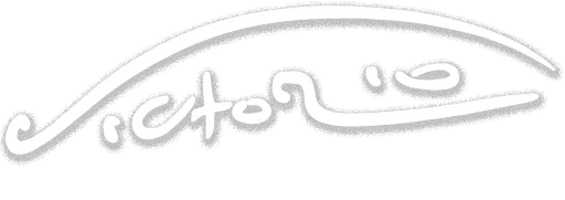 VIC HOMME logo