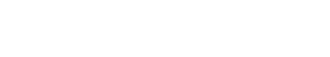 REVIDA logo