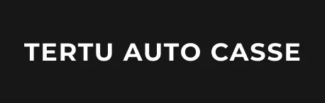 Voici le logo de la marque TERTU AUTO CASSE qui représente son identité graphique.