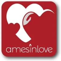 AMESINLOVE logo