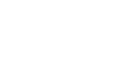 BERRETTI logo