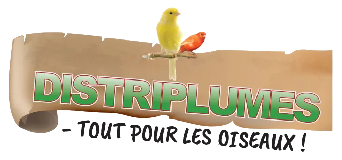 DISTRIPLUMES logo