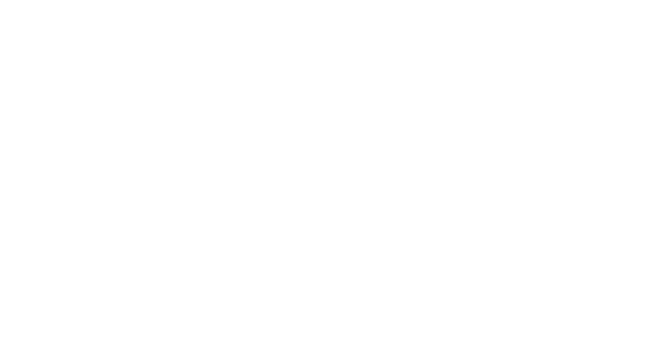 TECHNIKFOOT logo
