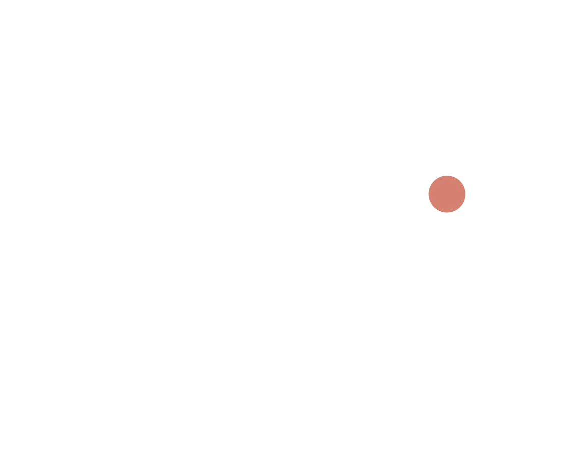 JSC CONSEILS logo