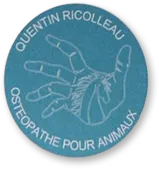 RICOLLEAU QUENTIN logo