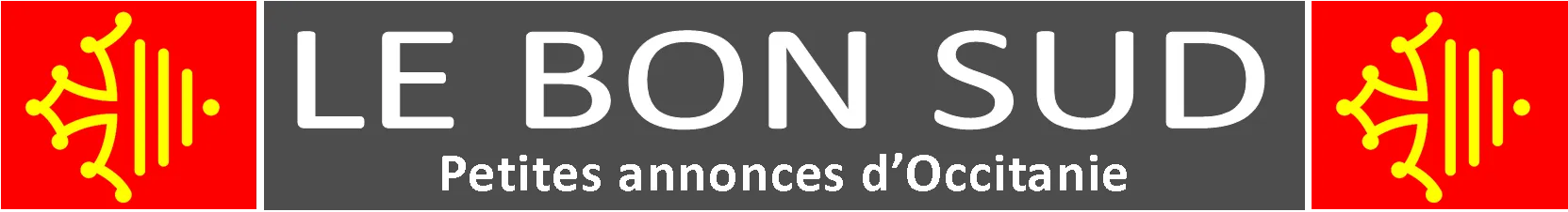 LE BON SUD logo