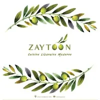 ZAYTOON logo