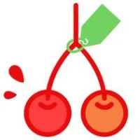 CERISE PEYI logo