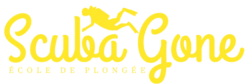 BERNARDET ANNE logo