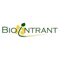 BIOINTRANT logo