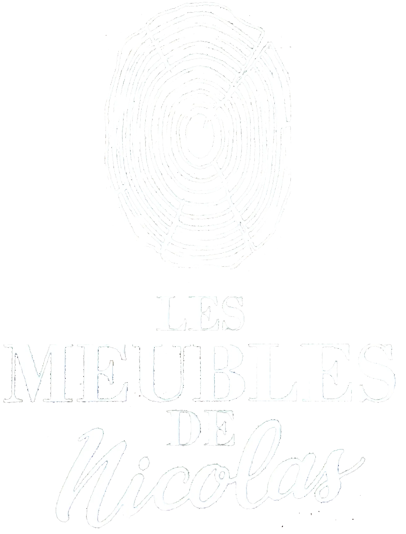 PONS NICOLAS logo