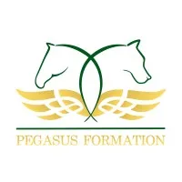 PEGASUS FORMATION logo