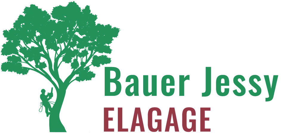 BAUER JESSY logo