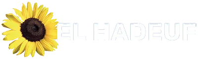 EL-HADEUF ENERGIES logo