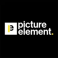 PICTURE ELEMENT logo