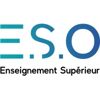 DIMENSIONPRO (E.S.O) logo