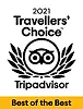 TRIADE logo