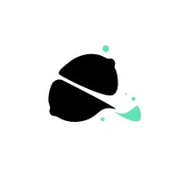 CITRON NOIR logo